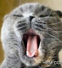 Назар Ганько