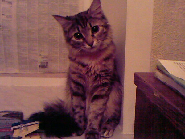 Сергей Пушкин