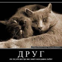 Валентин Обвинцев