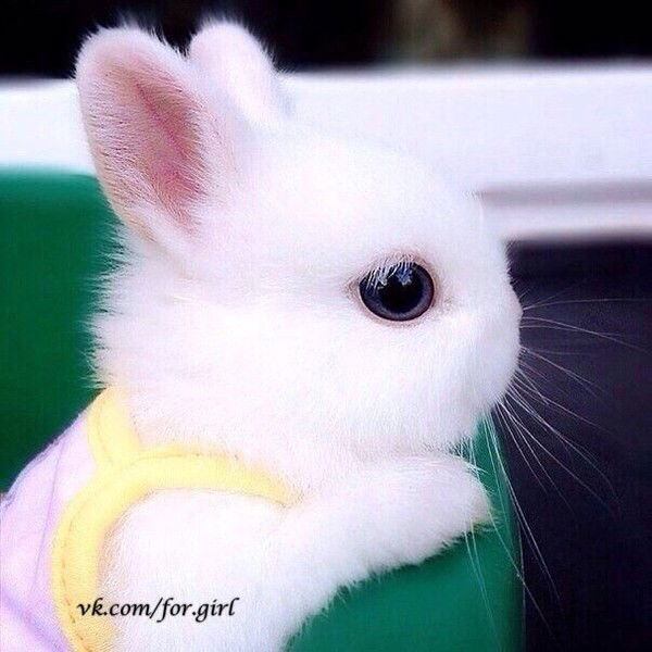 Татьяна Зайцева