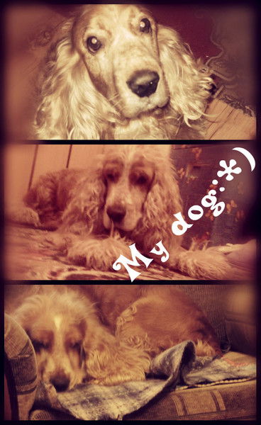 Маша Гаранина