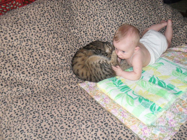 Елена Румянцева