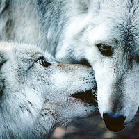 Омурзак Джумабаев