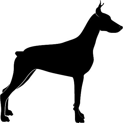 Ксения Куликова