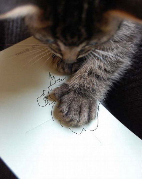 Алина Дудова