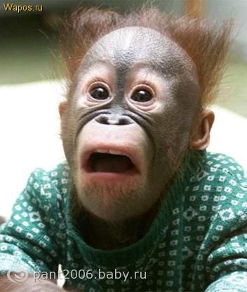 Юлия Анпилогова