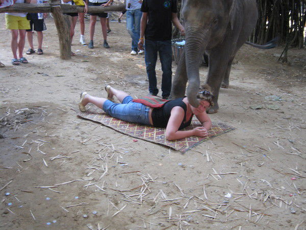 Екатерина Сухова