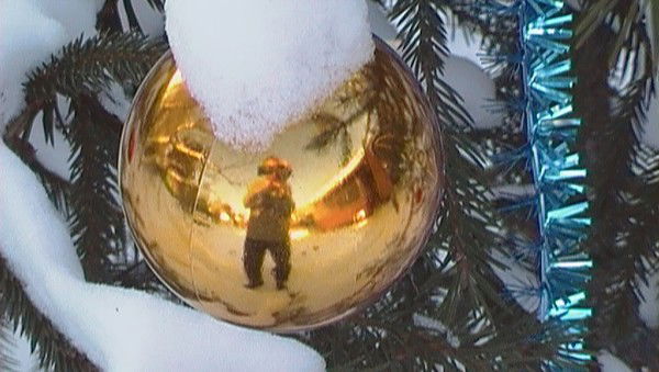 Андрей Акимов