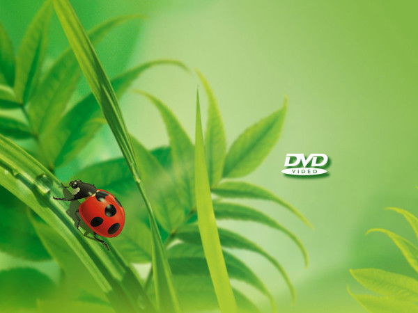 Витя Бровко