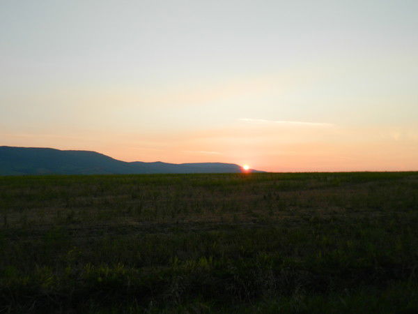 Сергей Шамов