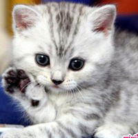 Даша Логвиненко