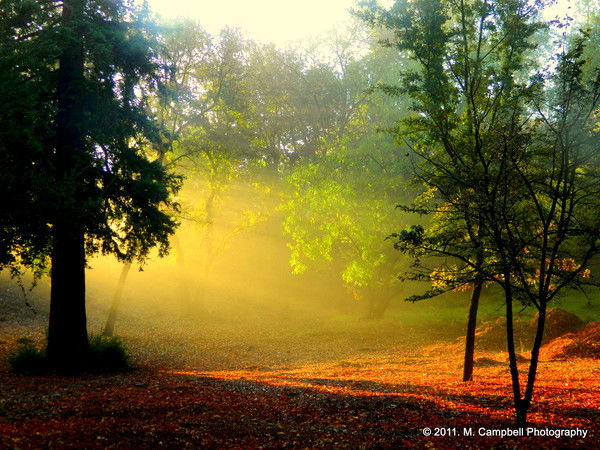 Гуля Аширова
