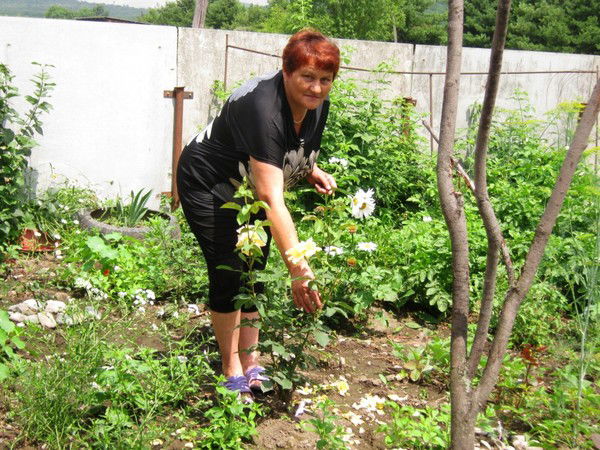 Вера Захарова