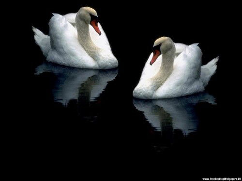 Оксана Дружинина