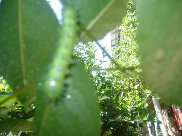 Марина Логинова