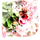 Алтынбек Чоткараев