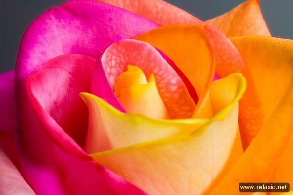 Жулдыз Калжан