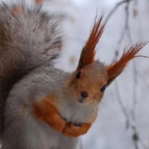 Точка 8 Привоз Точка 8