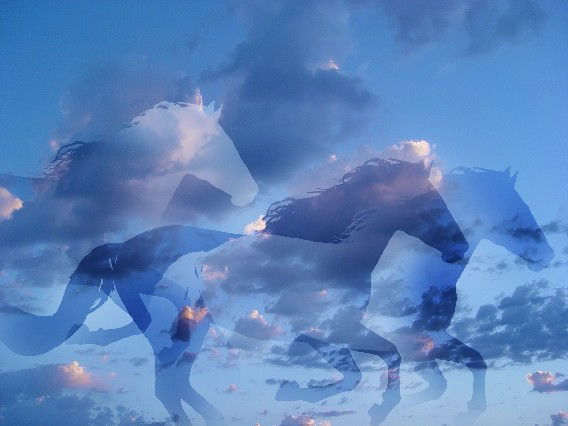 Тайгара Аргын