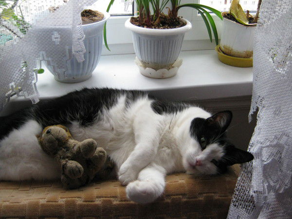 Нина Юркова