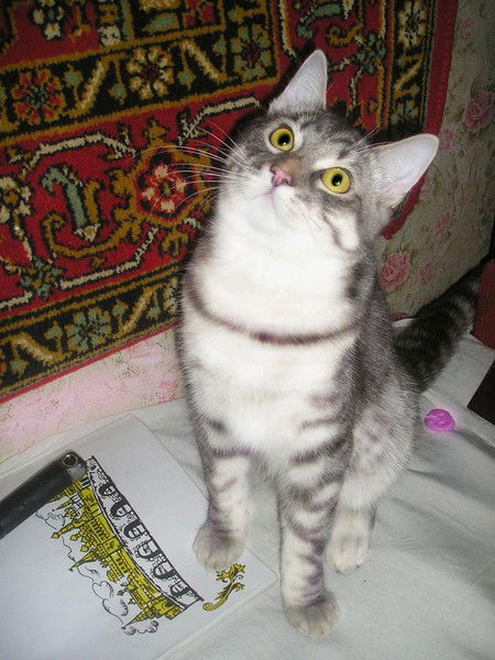 Christina Konyashkina