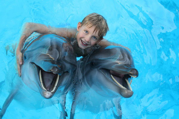 Ольга Соколова