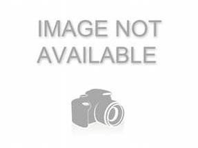 Вячеслав Шинкаренко