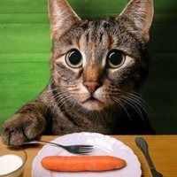 Анатолий Березин