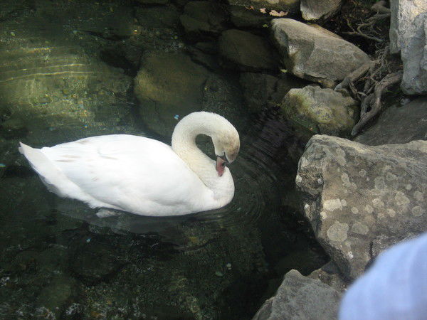 Сымбат Абельдинова