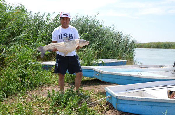 Толеген Абылкасов