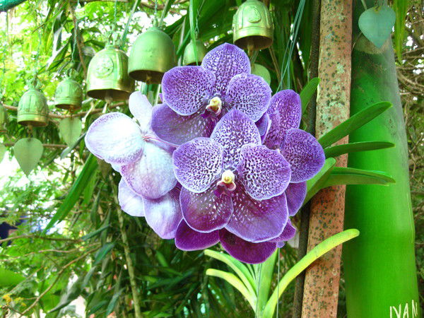 Татьяна Овчинникова