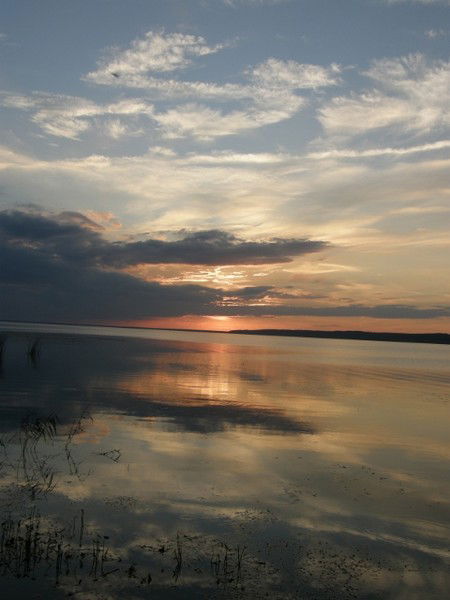 Татьяна Cухарева