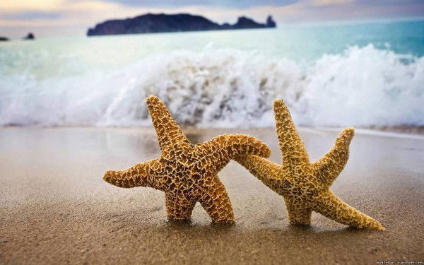 ***надежда ***