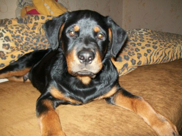 Надя Медведева