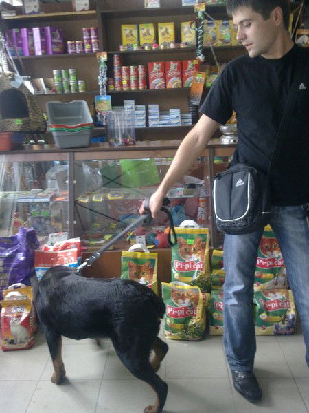 Андрей Мандич