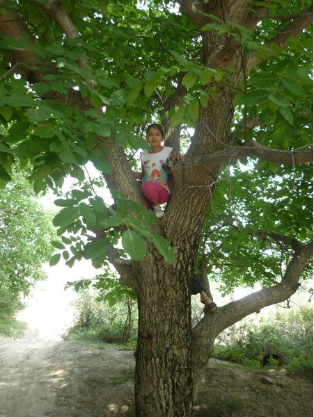 Аида Шамбилова