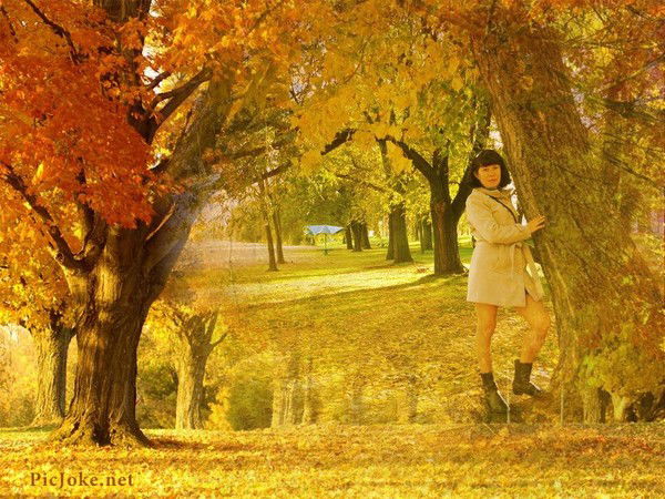 Наталья Албу