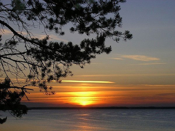 Анна Голублева