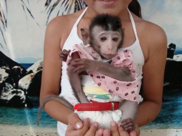 Диана Брильянтик