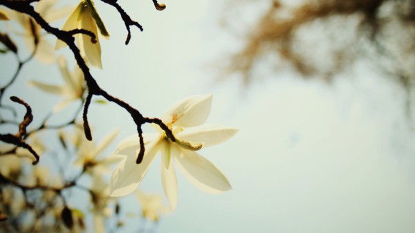 Галина Бочарникова