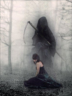 Денис Мирошниченко