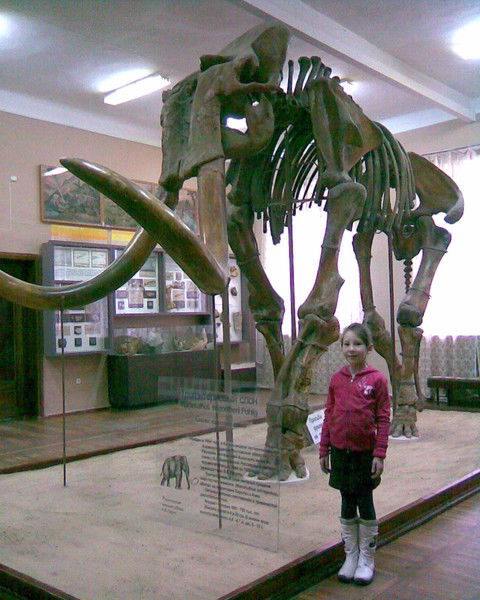 Дарья Смирнова