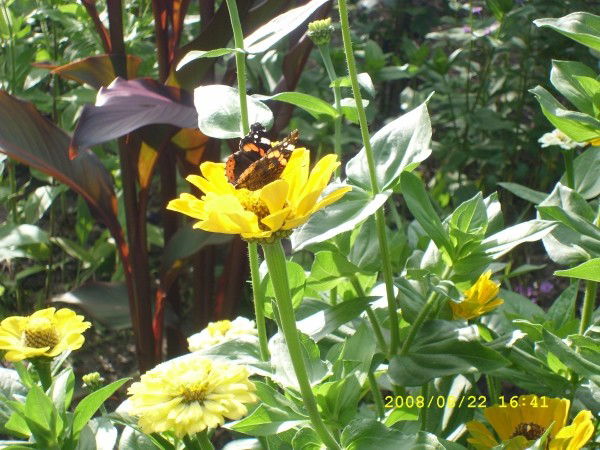 Анастасия Смирнова