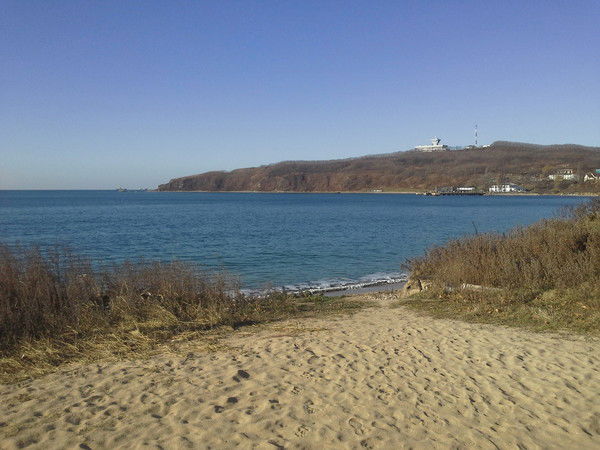 Ирина Репина