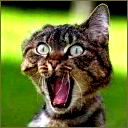 Жека Бельский