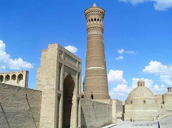 Мирзохид Шодмонов