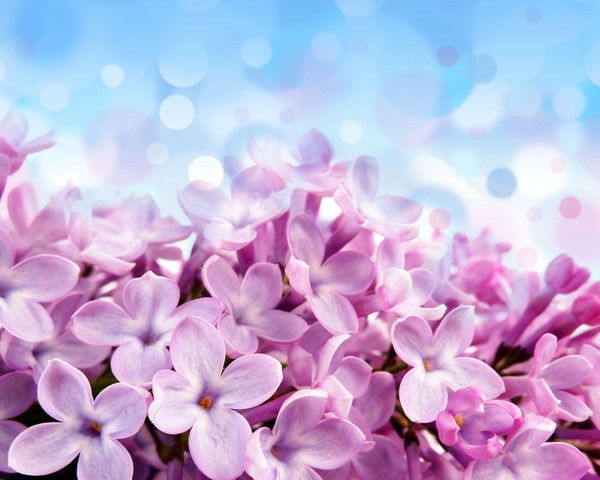 Людмила Баруздина