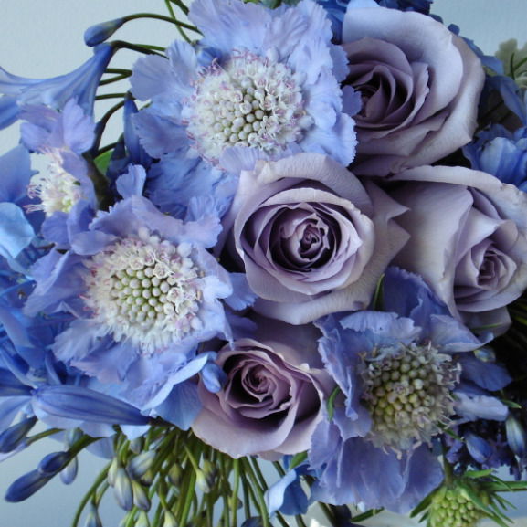 Галина Шинкарева