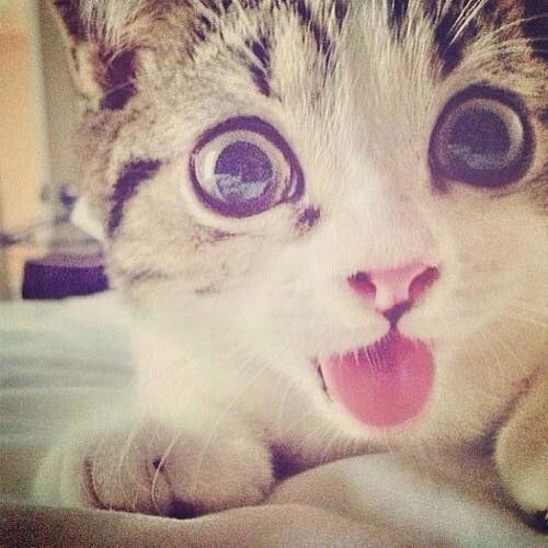 Мария Луцик