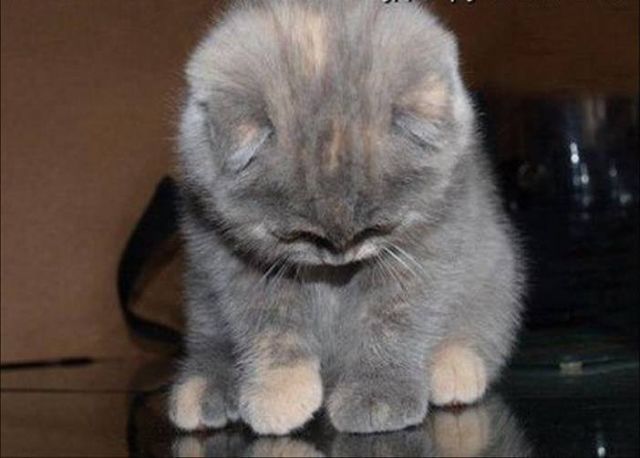 Валерия Лященко